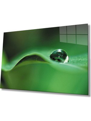 Miray Life Su Damlası Yeşil Yaprak Cam Tablo