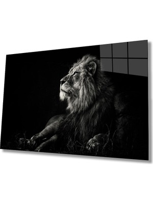 Miray Life Aslan Cam Tablo