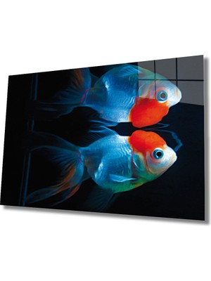 Miray Life Mavi Kırmızı Cam Tablo Blue Red Fish