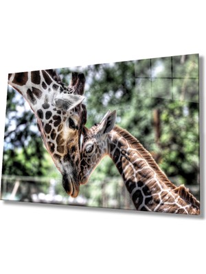 Miray Life Zürafa Hayvan Cam Tablo