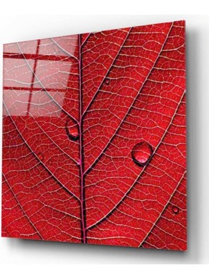 Miray Life Yaprak Cam Tablo