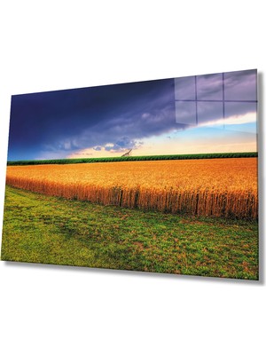 Miray Life Gün Batımında Başaklar Mavi Sarı