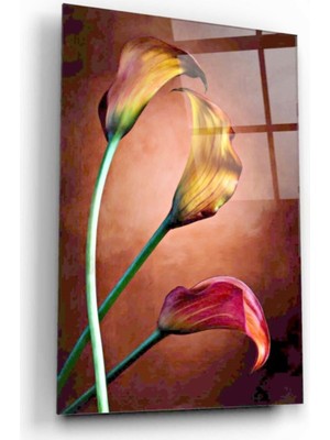 MiraLive Çiçek Cam Tablo