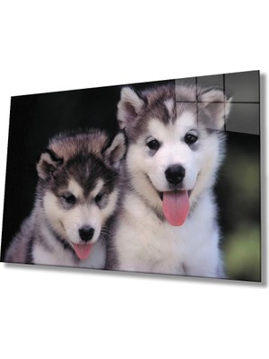 Miray Life Köpekler Cam Tablo