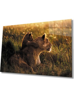 Miray Life Aslan Cam Tablo