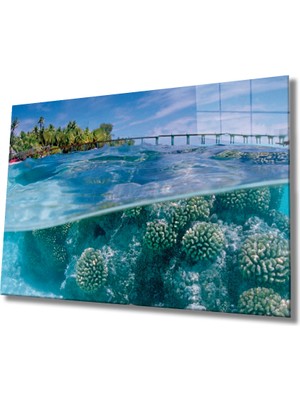 Miray Life Cam Tablo Sualtı , Marine Life