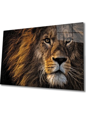Miray Life Aslan Cam Tablo