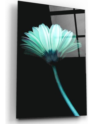 MiraLive Papatya Cam Tablo