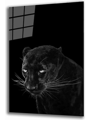 Miray Life Jaguar Hayvan  Cam Tablo