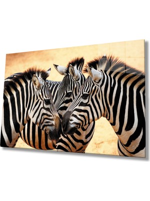 Miray Life Zebra Hayvan Cam Tablo