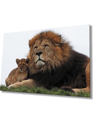 Miray Life Aslan Cam Tablo