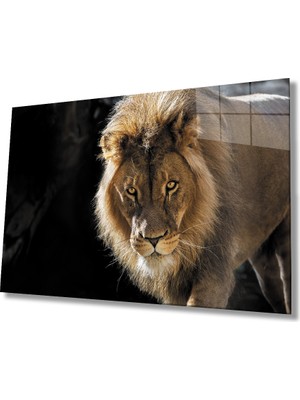 Miray Life Aslan Cam Tablo