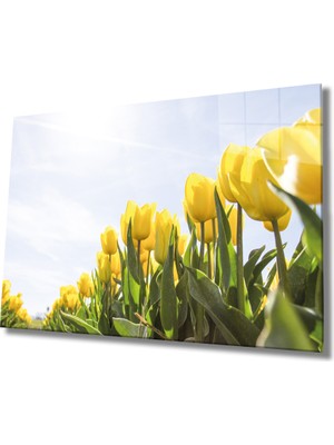 Miray Life Sarı Lale Cam Tablo Yellow Flowers