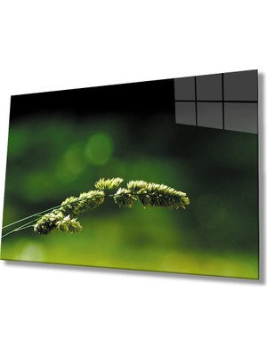 Miray Life Yeşil Bitki Cam Tablo    Green Plant