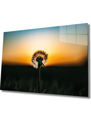 Miray Life Manzara Cam Tablo Landscape