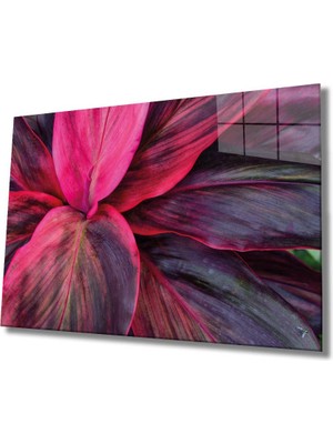 Miray Life Mor Çiçek  Cam Tablo, Purple Flower