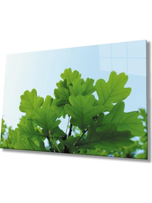 Miray Life Yeşil Yapraklar Green Leaves