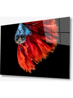 Miray Life Sualtı Cam Tablo