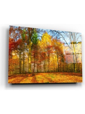 Miray Life Orman Cam Tablo