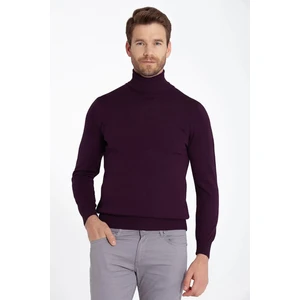 Erkek Mor Regular Fit Balıkçı Yaka Triko Kazak