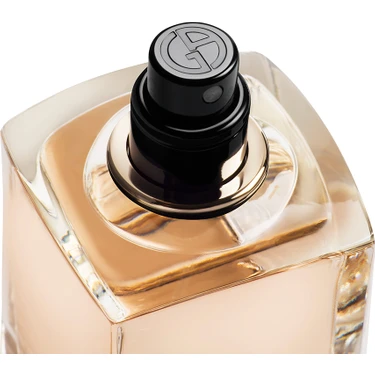 Giorgio armani si perfume 100ml clearance price