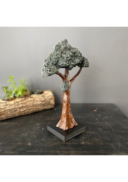 Dekoratif Dik Bonsai Ağaç