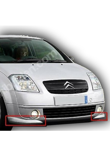 Citroen C2 Flap Boyasız