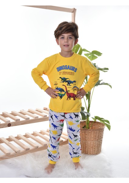 Tugse My Dınosaurs Çocuk Pijama Takım fiyatları