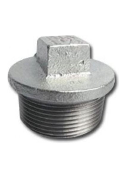 2 1/2 Galvaniz Tapa