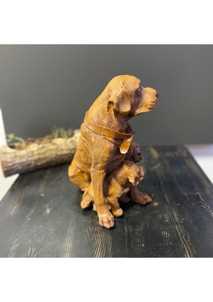Çift 2 Yavrulu Dekoratif Retriever Köpek