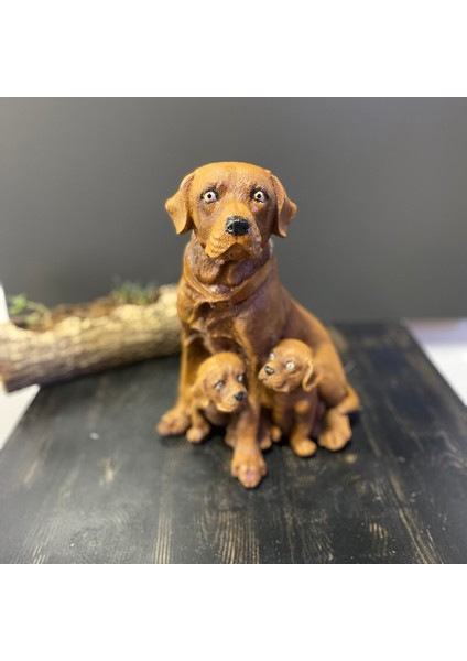 Çift 2 Yavrulu Dekoratif Retriever Köpek fiyatları