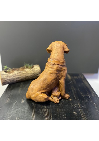 Çift 2 Yavrulu Dekoratif Retriever Köpek modelleri