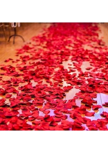 Sevgililer Günü 2000 Adet Kırmızı Yapay Kumaş Gül Yaprakları modelleri