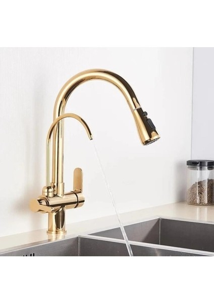Spiralli Mutfak Evye Bataryası Dual Su Arıtma Çıkışlı Kısa Model Gold