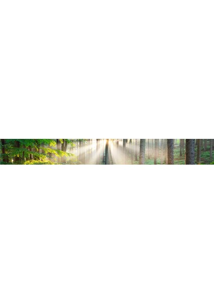 Mutfak Tezgah Arası Folyo Fayans Kaplama Folyosu Panoramik Orman 60X200 cm