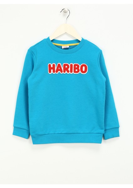 Işlemeli Erkek Çocuk Turkuaz Sweatshırt HRBTXT308 Haribo Çocuk Sweatshirt
