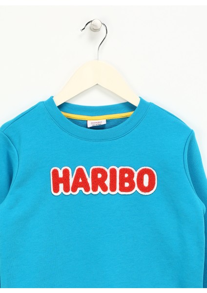 Işlemeli Erkek Çocuk Turkuaz Sweatshırt HRBTXT308 Haribo Çocuk Sweatshirt modelleri