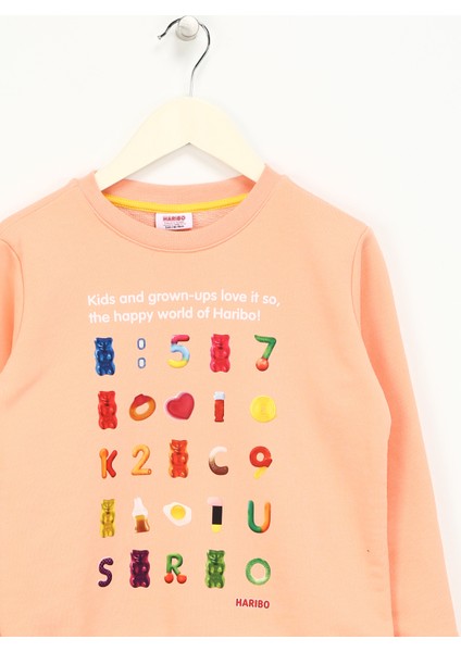 Baskılı Kız Çocuk Somon Sweatshırt HRBTXT302 Haribo Çocuk Sweatshirt fırsatları