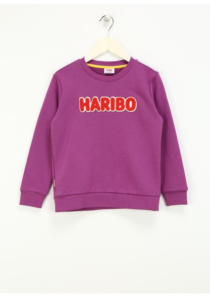 Işlemeli Kız Çocuk Lila Sweatshırt HRBTXT308 Haribo Çocuk Sweatshirt