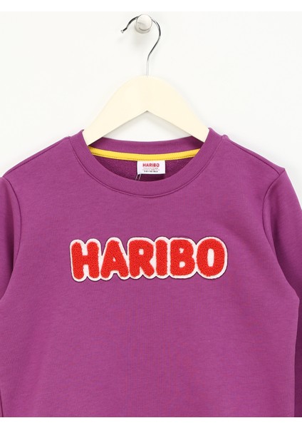Işlemeli Kız Çocuk Lila Sweatshırt HRBTXT308 Haribo Çocuk Sweatshirt