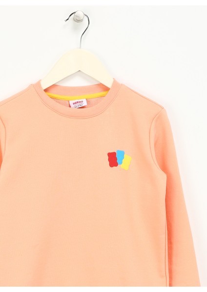 Kabartma Kız Çocuk Somon Sweatshırt HRBTXT300 Haribo Çocuk Sweatshirt modelleri