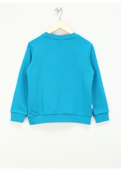Baskılı Erkek Çocuk Turkuaz Sweatshırt HRBTXT305 Haribo Çocuk Sweatshirt fiyatları