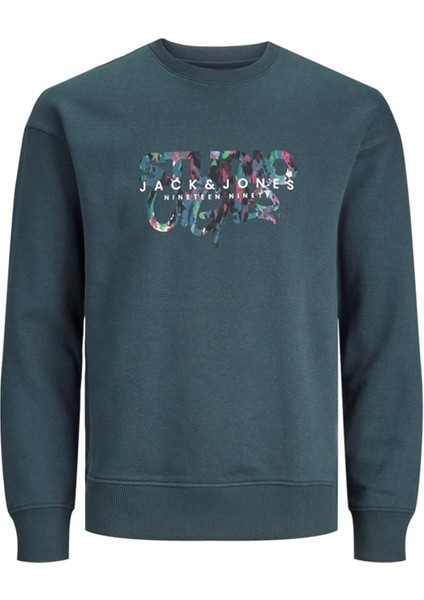 Erkek Çocuk Füme Sweatshırt Jorsılverlake Sweat Crew Neck Jnr