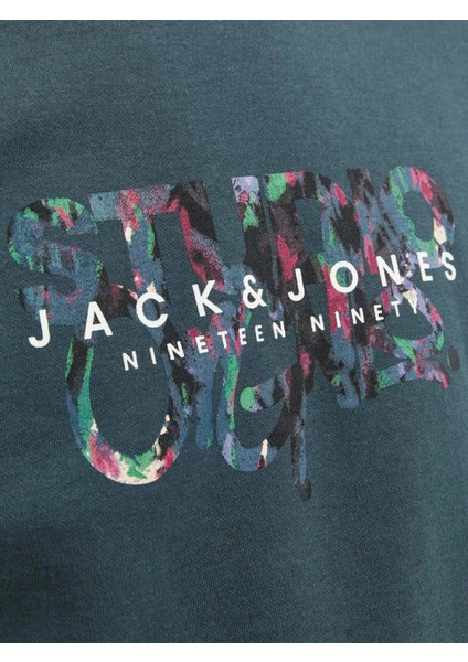 Erkek Çocuk Füme Sweatshırt Jorsılverlake Sweat Crew Neck Jnr fiyatları