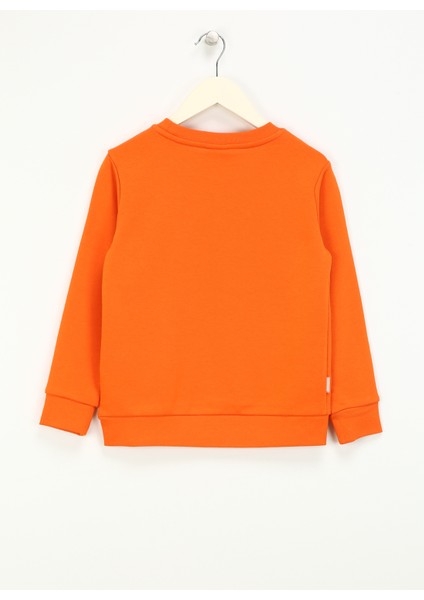 Baskılı Erkek Çocuk Turuncu Sweatshırt HRBTXT305 Haribo Çocuk Sweatshirt fiyatları