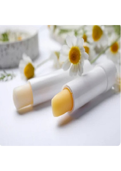 Lip Balm Nemlendirici fiyatları