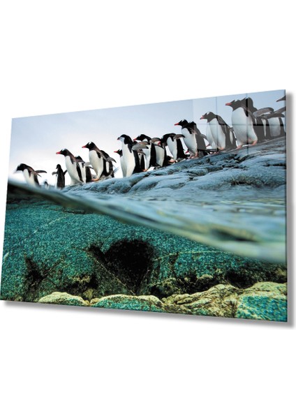Penguenler Cam Tablo