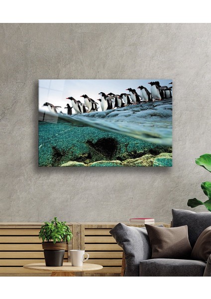 Penguenler Cam Tablo
