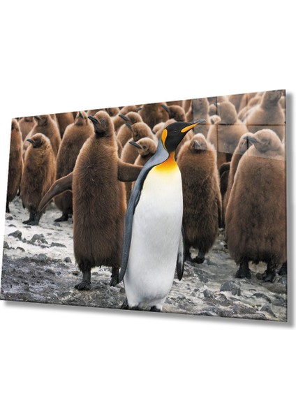 Penguenler Cam Tablo