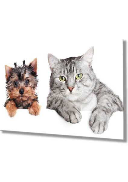Kedi ve Köpek Cam Tablo